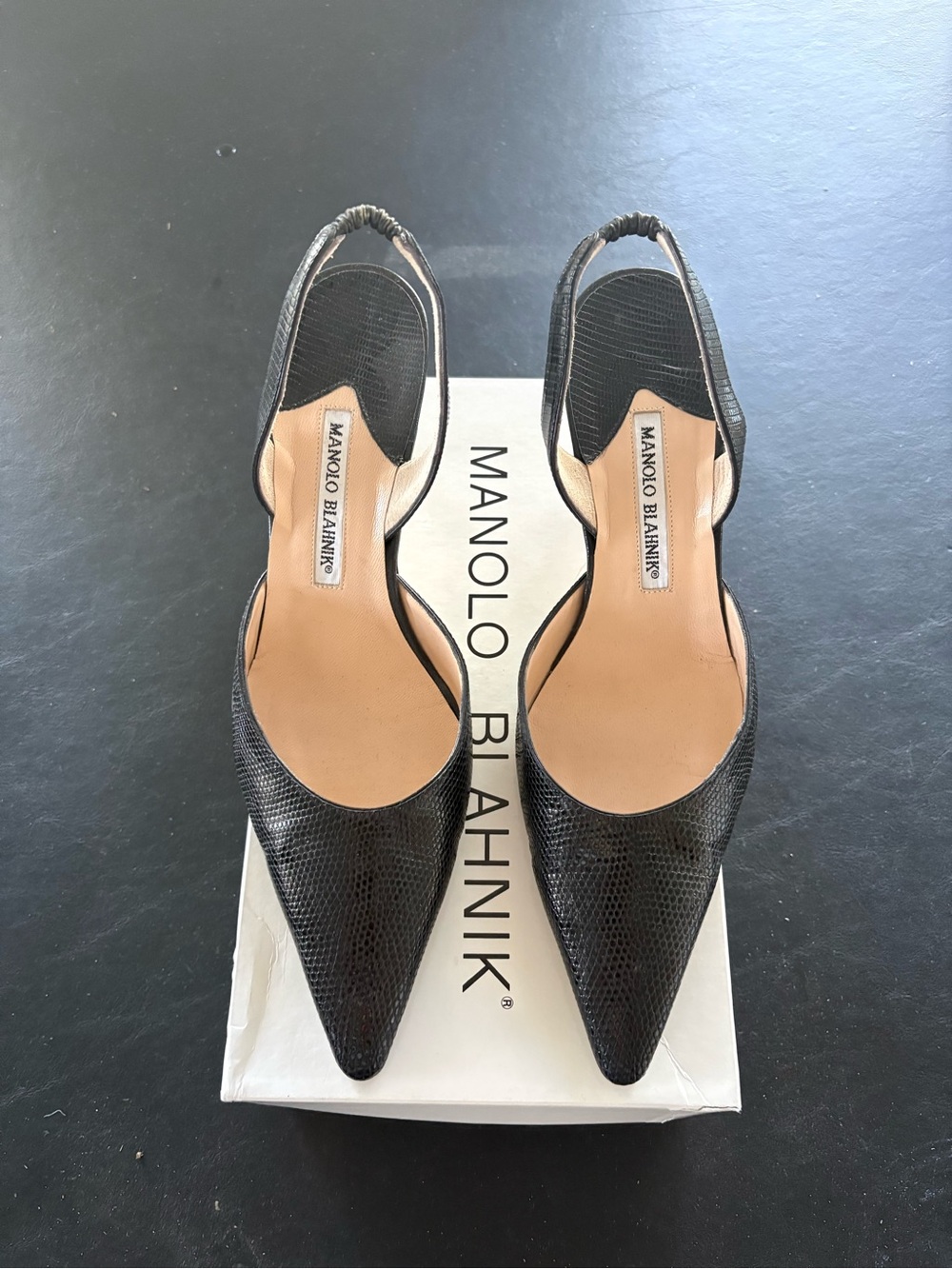 Manolo Blahnik Black Lizard Pointed Slingback Pumps